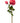Natural Touch Cabbage Rose with Bud 24"