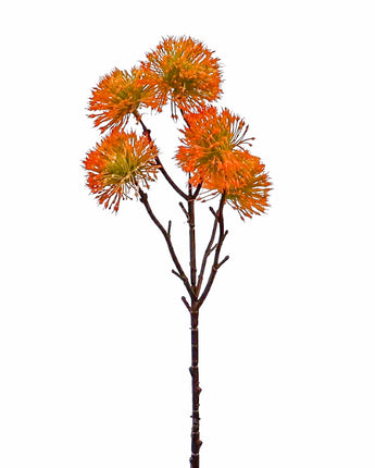 Dark Orange 5-Ball Centaurea Thistle Spray 21"