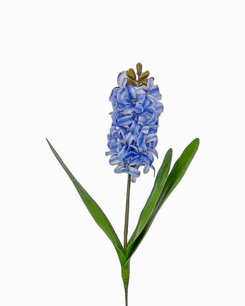 Natural Touch Hyacinth
