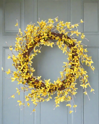 Forsythia Wreath 22"