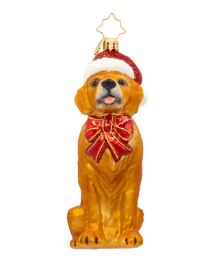 Paws & Claus Collection