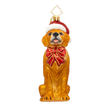 Paws & Claus Collection