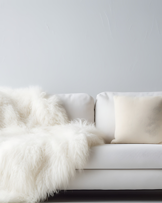 Pillows & Throws