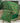 3.5" Emerald Metallic Scroll Ribbon