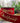 4" Red Glitter "Merry Christmas" Ribbon