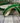 1" Emerald Green Velvet Ribbon