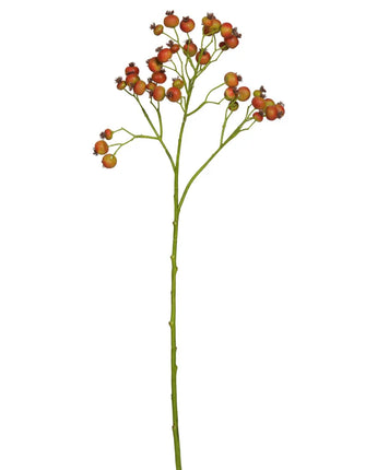 25" Rose Hips