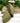 4" Sage Green Taffeta Glitter Mesh