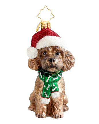 The Posh Poodle