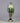 Decorative nutcracker figure with green and gold colors on a dark background