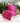 Hot Pink Satin Leopard Ribbon (Sold Separately)