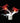 5.5" Cardinal on Branch Nightlight