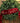 70" Red Velvet "Merry Christmas" Banner