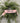 56" Pink Velvet "Happy Halloween" Banner