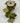 4" Chartreuse Cut-Out Holly Ribbon