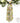 56" Poplin Mix Spring Floral Sash