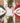 Tinsel Bow Runner