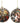 4" Iconic Nativity Disc Ornament (Sold Separately)