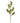 27" Rosehip Stem
