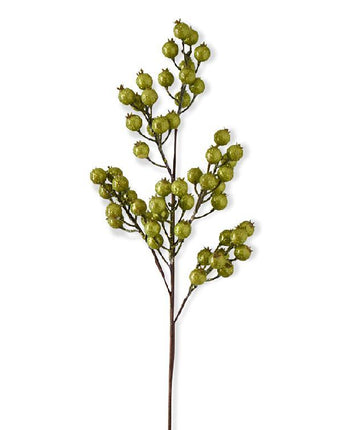 27" Rosehip Stem