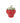 Fresh Fruit Canister (Sold Separately)
