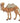 7.5" Scale Standing Camel