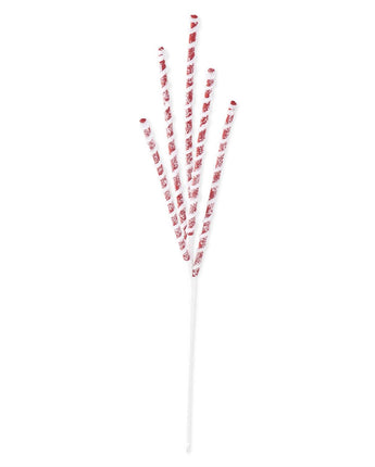 25" Glittered Red & White Flocked Spiral Spike Spray