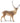 61" Glittered Snowy Standing Reindeer