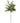 32" Norfolk Pine Branch