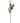 33" Cypress Pine Stem