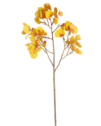 42" Aspen Spray