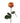20.5" Natural Touch Ecuadorian Rose