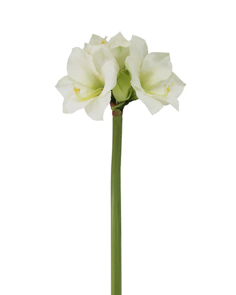 29.5" White Amaryllis