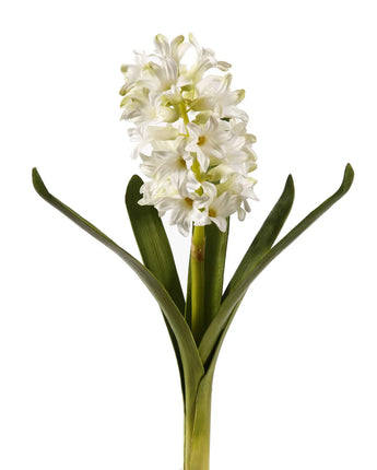 12.5" White Hyacinth