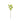 44" Light Green Viburnum