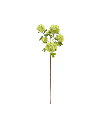 44" Light Green Viburnum