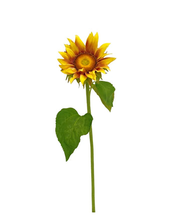 24" Sunflower