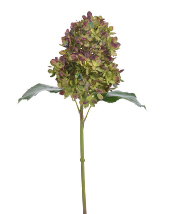 21.5" Antique Green Hydrangea