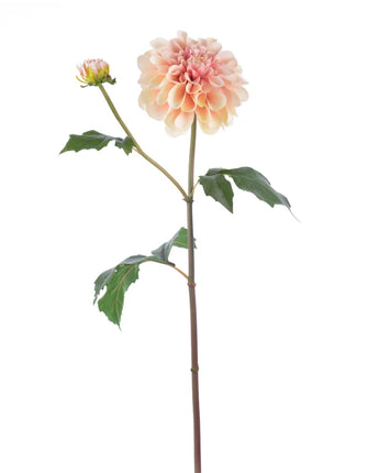25" Natural Touch Dahlia