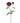 27" Natural Touch Peony