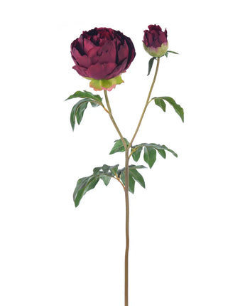 27" Natural Touch Peony