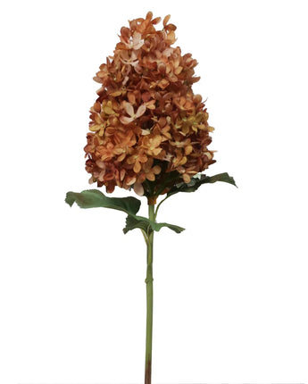 28" Peegee Hydrangea