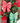 11" Bow Ornaments (Sold Separately)