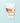 Texas Longhorn Cups