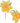 Edgy Daffodils (Sold Separately)