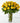 Long Stem Yellow Rose Bouquet