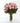 Long Stem Pink Rose Bouquet