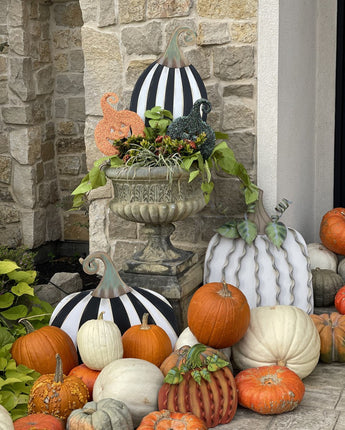 24" Striped Pumpkin Short