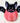 Sweet Bat Pumpkin Kit