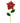 24" Red Foil Poinsettia Stem